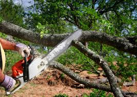 Lawn Watering Services in Eden, NC